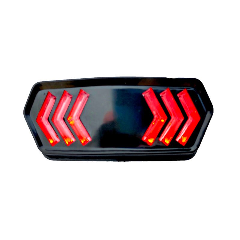 Motorcycle Fancy Led Backlight Tail Light with Two Color Red & Blue Flasher Light for CD70 and CG125 Bikes NF MART - Image 3