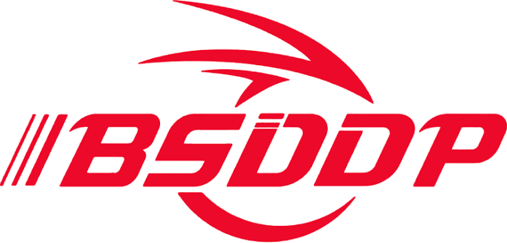 BSDDP